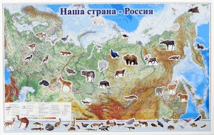 Магнитные карточки "Животные" - fgospostavki.ru - Домодедово