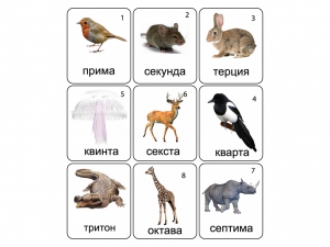 Набор магнитных карточек по музыке "Животные" (9 штук) - fgospostavki.ru - Домодедово