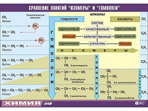 Таблица демонстрационная "Сравнение понятий изомер и гомолог" (винил 70x100) - fgospostavki.ru - Домодедово