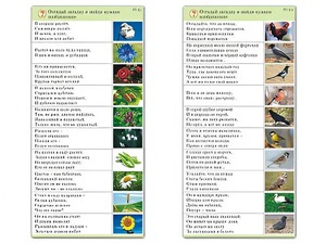 Комплект карточек (10) "Обучающий калейдоскоп. Природа" - fgospostavki.ru - Домодедово