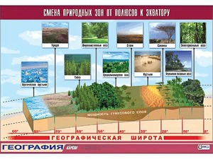 Таблица демонстрационная "Смена природных зон от полюсов к экватору" (винил 100*140) - fgospostavki.ru - Домодедово