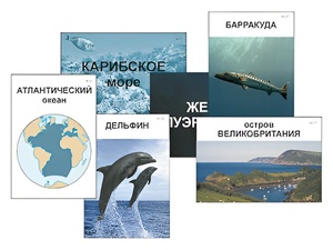 Модель-аппликация "Океаны. Знакомство" (ламинированная) - fgospostavki.ru - Домодедово