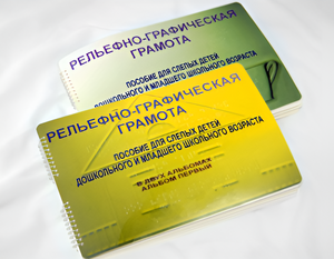 Пособие для слабовидящих детей - Рельефно-графическая грамота для слепых детей дошкольного и младшего школьного возраста - fgospostavki.ru - Домодедово