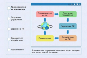 Интерактивные курсы. Информатика 10 класс . Базовый. - fgospostavki.ru - Домодедово