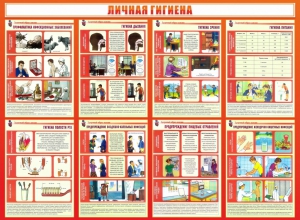 Стенд "Личная гигиена" - fgospostavki.ru - Домодедово
