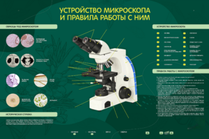 Электрифицированный стенд "Устройство микроскопа и правила работы c ним" - fgospostavki.ru - Домодедово