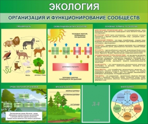 Стенд "Экология. Организация и функционирование сообществ" - fgospostavki.ru - Домодедово