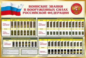 Стенд "Воинские звания в вооруженных силах РФ" - fgospostavki.ru - Домодедово