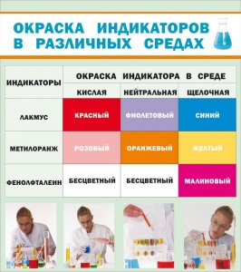 Стенд "Окраска индикаторов в различных средах" - fgospostavki.ru - Домодедово