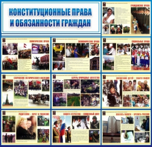 Стенд "Конституционные права и обязанности граждан" - fgospostavki.ru - Домодедово