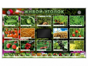 Комплект оборудования "Живой уголок" (растения) - fgospostavki.ru - Домодедово