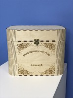 Сундучок для хранения логопедического оборудования - fgospostavki.ru - Домодедово