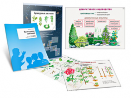 Комплект кодотранспарантов "Культурные растения" - fgospostavki.ru - Домодедово