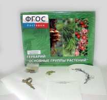 Гербарий "Основные группы растений" (52 листа) - fgospostavki.ru - Домодедово