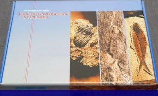 Коллекция "Палеонтологическая" (16 образцов) - fgospostavki.ru - Домодедово