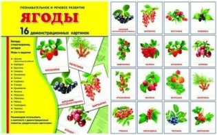 Демонстрационные карточки "Ягоды" - fgospostavki.ru - Домодедово