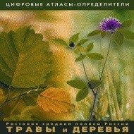 Растения средней полосы России "Травы и Деревья". (Цифровые атласы-определители) - fgospostavki.ru - Домодедово