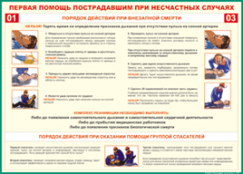 Таблица "Порядок действий при внезапной смерти" (100х140 сантиметров, винил) - fgospostavki.ru - Домодедово