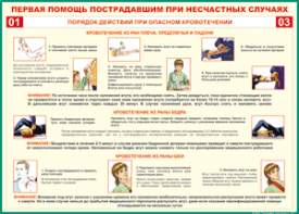 Таблица "Порядок действий при опасном кровотечении" (100х140 сантиметров, винил) - fgospostavki.ru - Домодедово