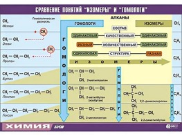 Таблица демонстрационная "Сравнение понятий изомер и гомолог" (винил 100x140) - fgospostavki.ru - Домодедово
