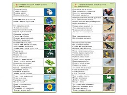 Комплект карточек (10) "Обучающий калейдоскоп. Природа" - fgospostavki.ru - Домодедово
