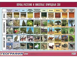 Таблица демонстрационная "Почвы, растения и животные природных зон" (винил 70*100) - fgospostavki.ru - Домодедово