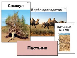 Модель-аппликация "Природные зоны России" (ламинированная) - fgospostavki.ru - Домодедово