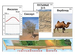 Модель-аппликация "Природные зоны" - fgospostavki.ru - Домодедово