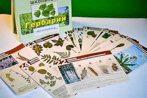 Гербарий к курсу основ общей биологии - fgospostavki.ru - Домодедово