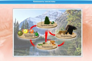 Интерактивные курсы. Биология 7 класс. Базовый. - fgospostavki.ru - Домодедово