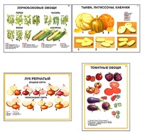 Плакаты ПРОФТЕХ "Ассортимент овощных культур" (12 пл, винил, 70х100) - fgospostavki.ru - Домодедово
