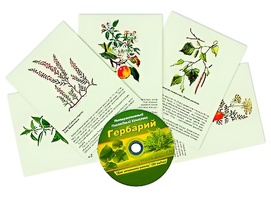 Интерактивный наглядный комплекс "Гербарий "Для начальной школы" - fgospostavki.ru - Домодедово