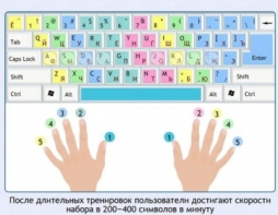 Интерактивные курсы. Информатика 7 класс . Базовый. - fgospostavki.ru - Домодедово