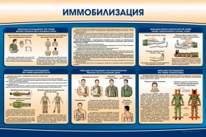 Стенд "Иммобилизация" - fgospostavki.ru - Домодедово