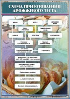 Стенд "Схема приготовления дрожжевого теста" - fgospostavki.ru - Домодедово