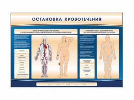 Электрифицированный стенд-тренажер "Остановка кровотечения" - fgospostavki.ru - Домодедово