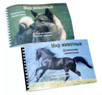 Пособие для слабовидящих - Домашние животные - fgospostavki.ru - Домодедово