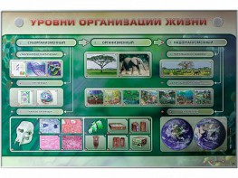 Электрифицированный стенд "Уровни организации жизни" - fgospostavki.ru - Домодедово