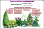 Комплект кодотранспарантов "Культурные растения" - fgospostavki.ru - Домодедово