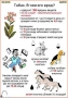 Комплект кодотранспарантов "Ядовитые растения" - fgospostavki.ru - Домодедово