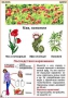 Комплект кодотранспарантов "Ядовитые растения" - fgospostavki.ru - Домодедово